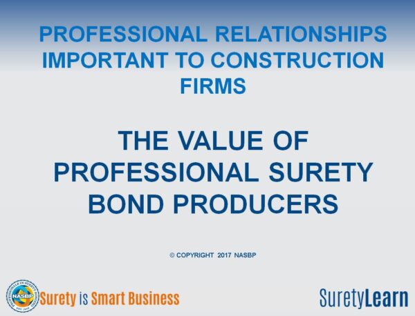 value of professional surety bond prod