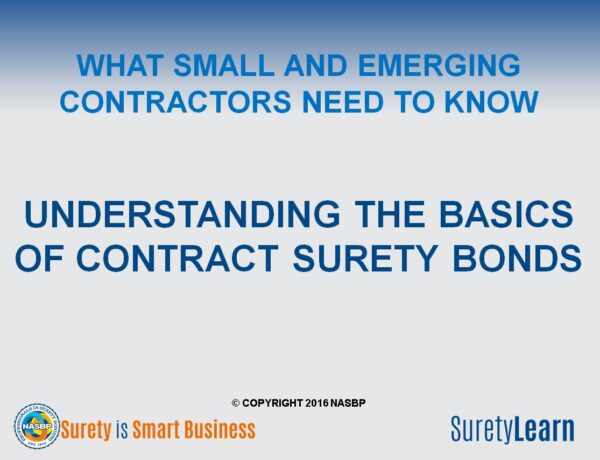 Basics surety bonds cover