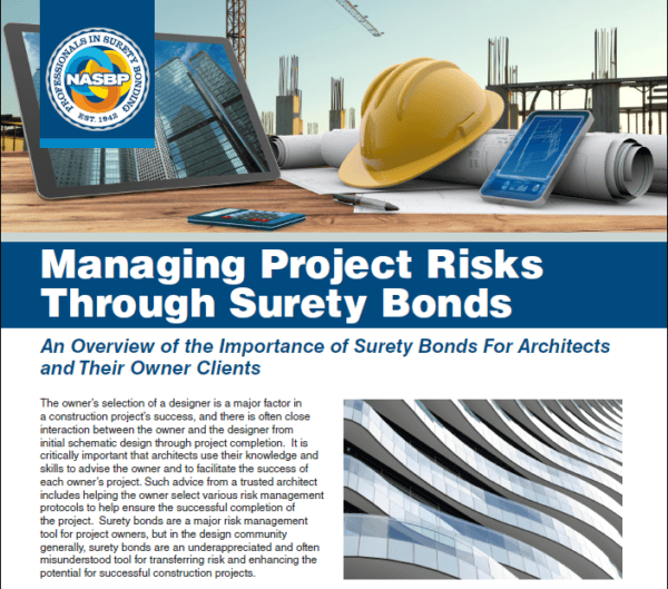 Managing Project Risks for Insta