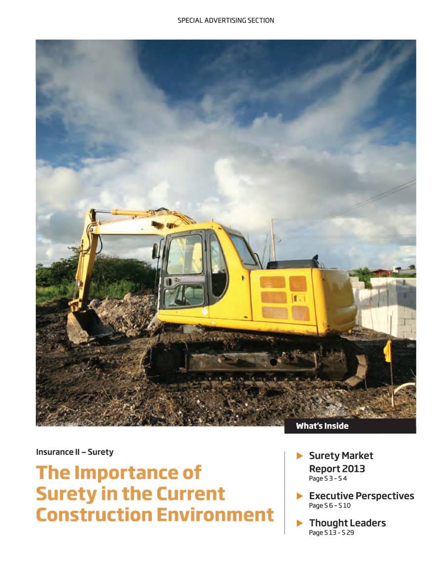 coverof2013ENRSS