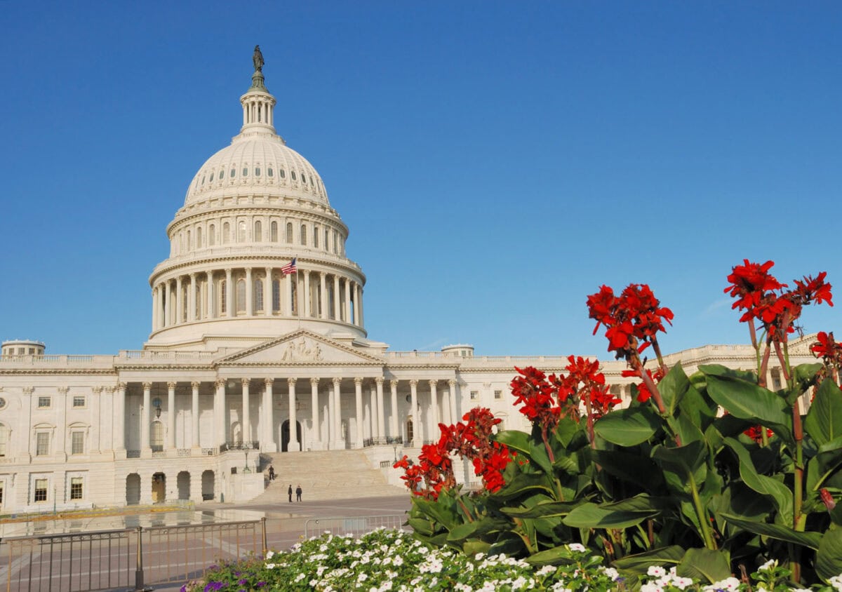 smlr-US-Capitol-summer-red-