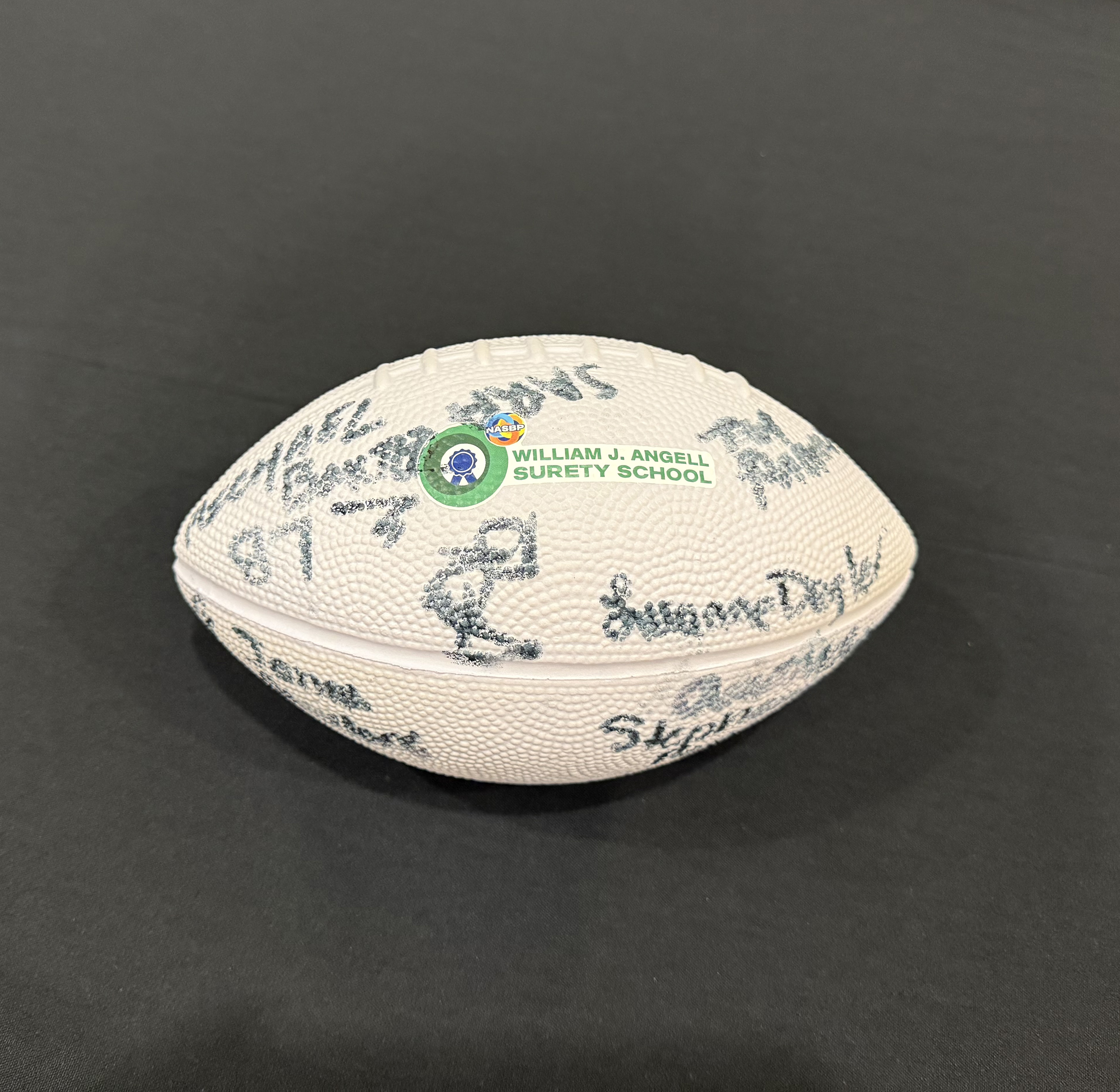 sara iuzzolino crumforster yellowmop