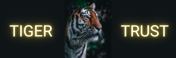 surety industry awards tiger trust