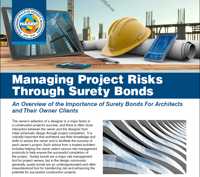 managing project risks document