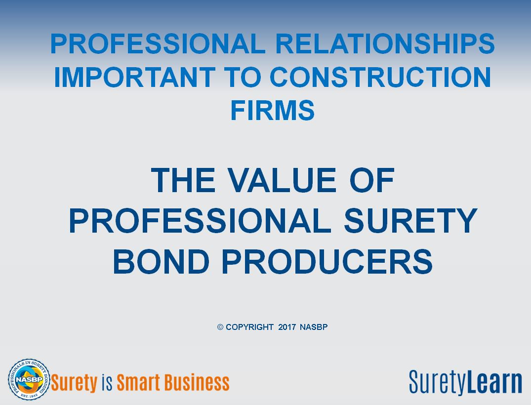 value of professional surety bond prod