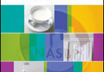 2008 NASBP Highlights: Year in Review publication cover