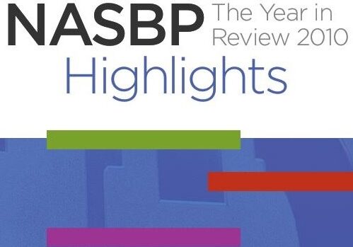 cover sqr 1 excerpt 2010 Highlights Year in Review